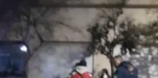 Accidente con un perro termina en pelea callejera y denuncia policial