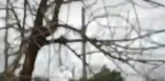 Vecinos volvieron a manifestarse en Barrio Matadero: exigen la devolución de su documentación