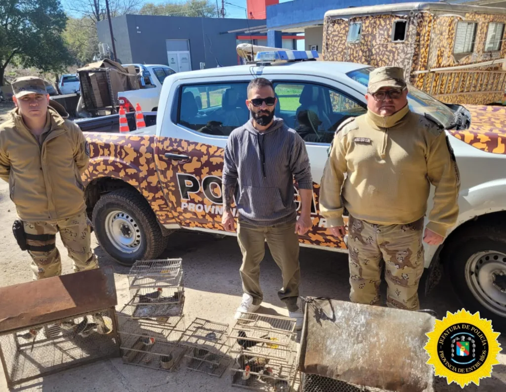 Esclarecen faena clandestina en Colonia Ensayo y rescatan 30 aves en cautiverio
