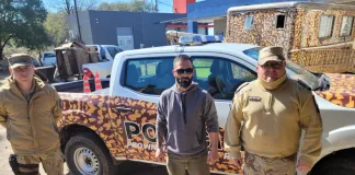 Esclarecen faena clandestina en Colonia Ensayo y rescatan 30 aves en cautiverio