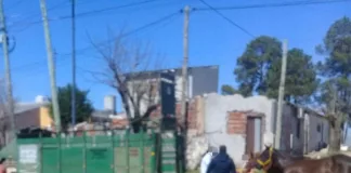 Agresión al Veterinario Municipal en Pleno Operativo: Huida, Persecución y Detención por Parte de la Policía