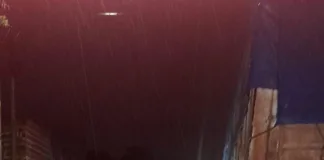 Joven pierde la vida tras chocar contra un camión estacionado