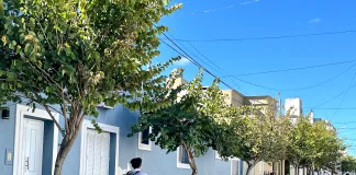 Día del Árbol: la Municipalidad de Concepción del Uruguay trabaja para poblar de árboles la ciudad