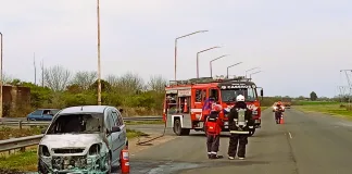 Incendio en Ruta 39, a la altura del ingreso al Palacio San José