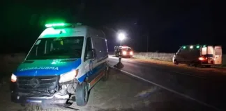 Ruta 12: una ambulancia chocó contra un ciervo