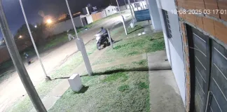 Malvivientes robaron en varias casas del barrio “28 Viviendas” de San Isidro