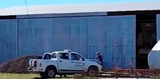 Trágico Accidente en Urdinarrain: Trabajador Muere Aplastado por Pala Mecánica en un Galpón Rural