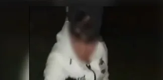 Brutal maltrato animal en Federación: dos jóvenes denunciados tras la viralización de un video