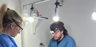 Realizaron más de 250  castraciones en agosto