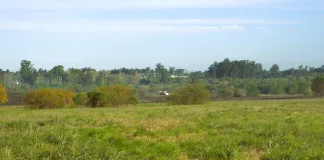 Incendio en campo privado movilizó a Bomberos de Concepción del Uruguay