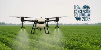Expo Rural 2025: expertos del INTA explicarán cómo usar drones para proteger cultivos