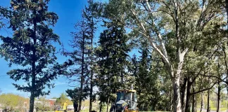 Se siguen llevando a cabo obras para la Zona Joven
