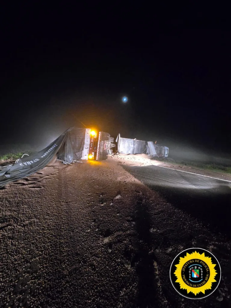 Por la intensa niebla un camión volcó en Ruta Provincial N.º 6