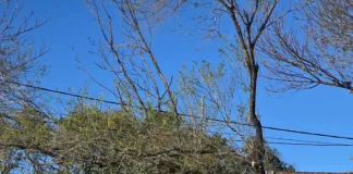 Imputan a un hombre por el brutal homicidio ocurrido en Basavilbaso