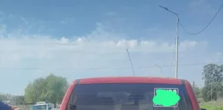 Sorpresa en el control: Detectan que transportaba un animal faenado