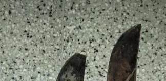 Allanamiento en Concepción del Uruguay: un detenido y secuestro de armas tras brutal ataque con machetes