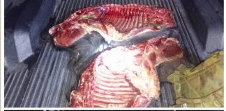 Federal: Operativo conjunto desarticuló actividad ilegal de caza en zona rural