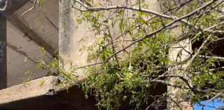 Hallan sin vida al joven desaparecido en el Río Uruguay