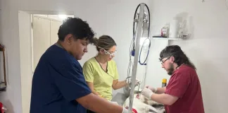 Sanidad Animal: más de 2.300 castraciones realizadas en lo que va del año