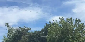 Hallazgo macabro en Ruta 15: investigan restos óseos que podrían ser humanos