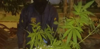 Allanamientos positivos en Colón: hallan droga y recuperan elementos robados