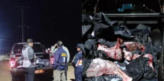 Operativo Policial: Incautan Carne de Ciervo y Más de 700 Kilos de Pescado sin Documentación