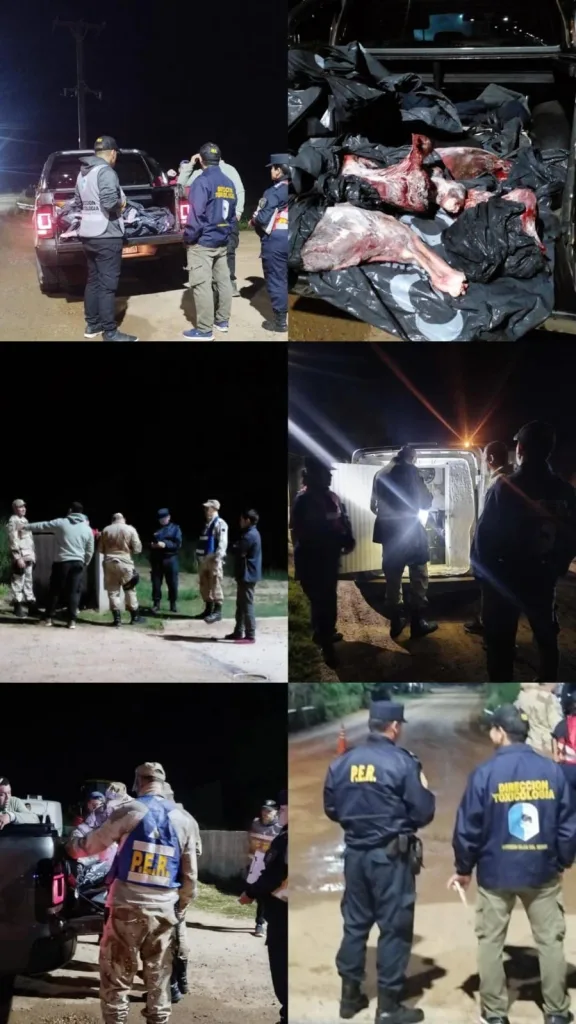 Operativo Policial: Incautan Carne de Ciervo y Más de 700 Kilos de Pescado sin Documentación