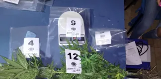 Golpe al narcomenudeo en Sauce de Luna: tres allanamientos simultáneos y 14 personas identificadas