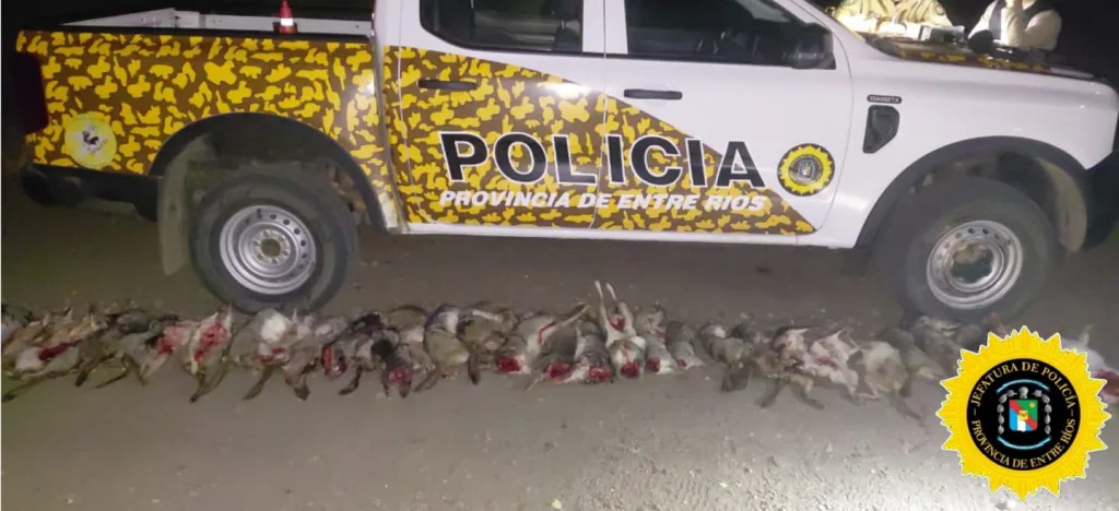 Caza furtiva en Entre Ríos: decomisan 35 vizcachas en operativo rural