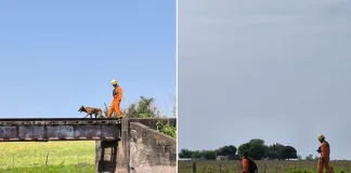 Operativo de Rastrillaje por la muerte de Palacios: fuerte despliegue policial en Concordia