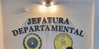 Hechos policiales en Victoria: Detenciones por Violencia de Género, Robos y Reincidencias