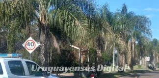 Accidente en Bv. Sansoni dejó a una mujer lesionada