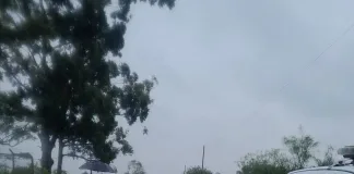 Los detuvieron cuando escapaban con una hormigonera en un carro