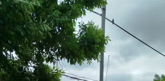 Intenso operativo en Bovril: hallaron sano y salvo a un menor perdido en la zona rural