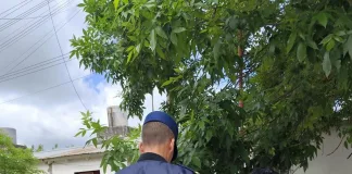 Detenido con elementos de dudosa procedencia: una bicicleta robada y una amoladora