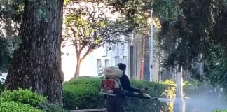 Descacharrización: Continúan las acciones contra el dengue