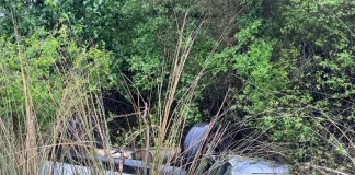 Vuelco sin heridos sobre Ruta 39 en medio de una intensa lluvia