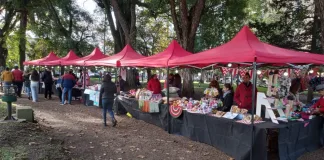 Una edición especial para celebrar el mes del emprendedor