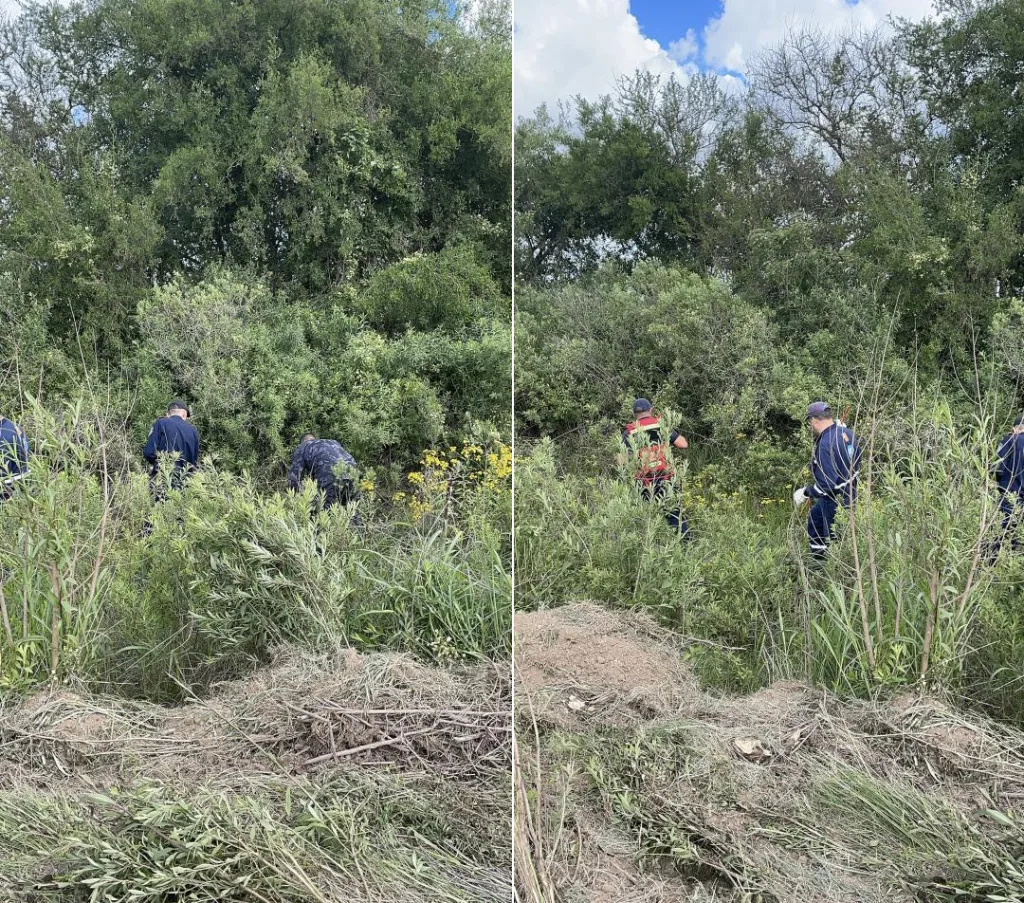 Restos óseos en Tala: lo que encontró la Policía