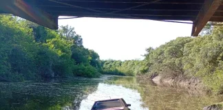 Federal: regreso de la pesca y se encontró con que le habían tirado su auto al arroyo