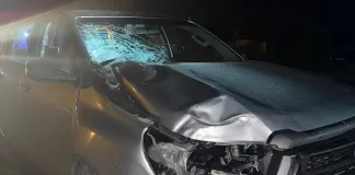 Trágico accidente en ruta entrerriana: un ciclista perdió la vida tras ser embestido por una camioneta