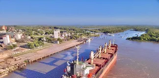 Ingresó otro buque al puerto para exportar eucalipto a la India