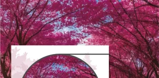 Presentación del libro «El lapacho en el folclore»