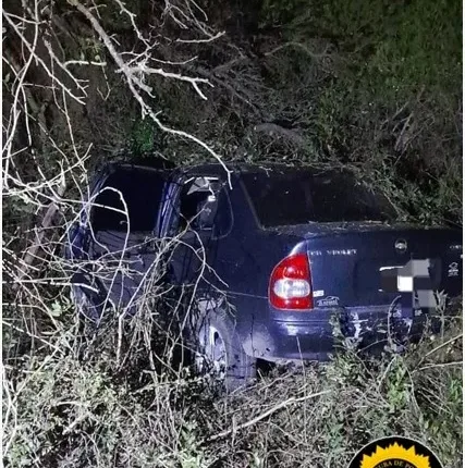 Por esquivar un animal despistó en la Ruta Provincial N°6