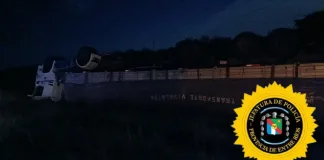 Camión con carga de madera volcó en la Ruta Nacional 127: milagrosamente, sin heridos