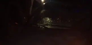 Un automóvil colisionó con un equino en la Ruta Nacional 14