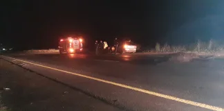 Choque con un caballo en la Autovía 14: dos vehículos involucrados