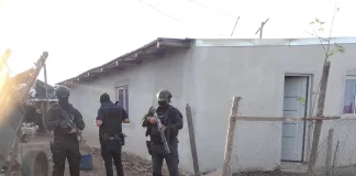 Allanamientos en Gualeguaychú por narcomenudeo: tres detenidos, drogas, armas y aves en cautiverio