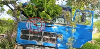 Accidente en el acceso Rodríguez Artusi: un camión despistó y quedó atrapado por una rama