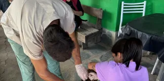 Más de 2.600 castraciones realizadas en lo que va del año